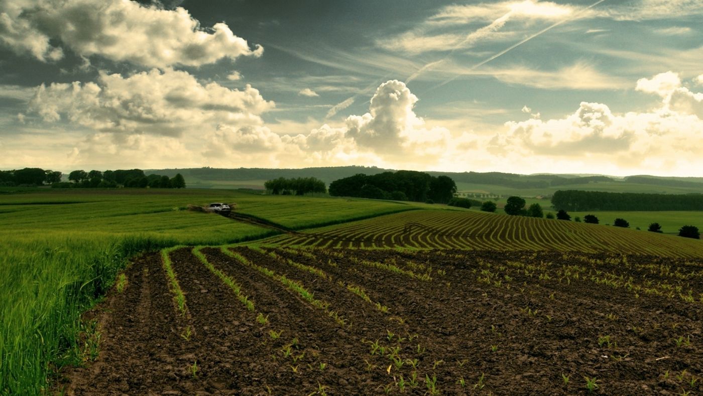 农田壁纸图片