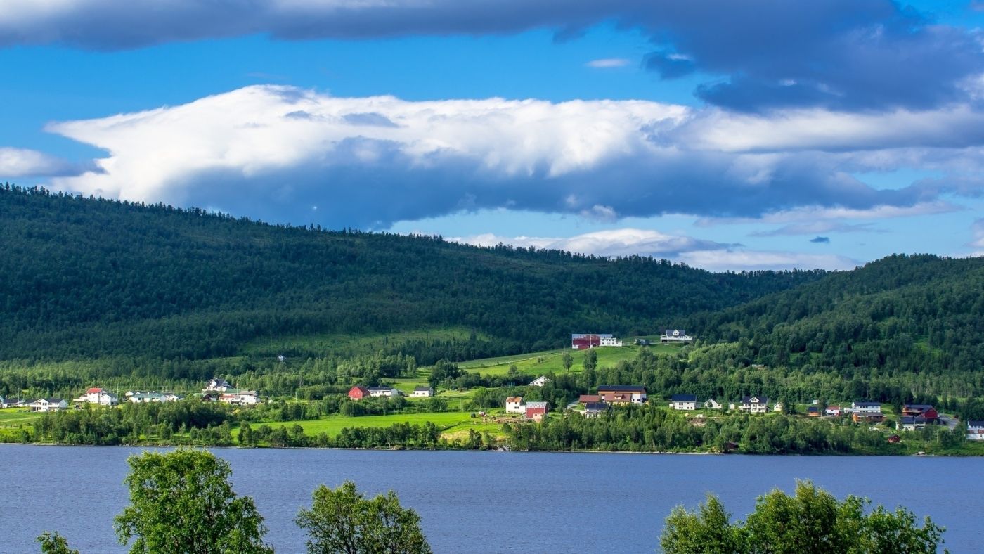 森林河边镇图片