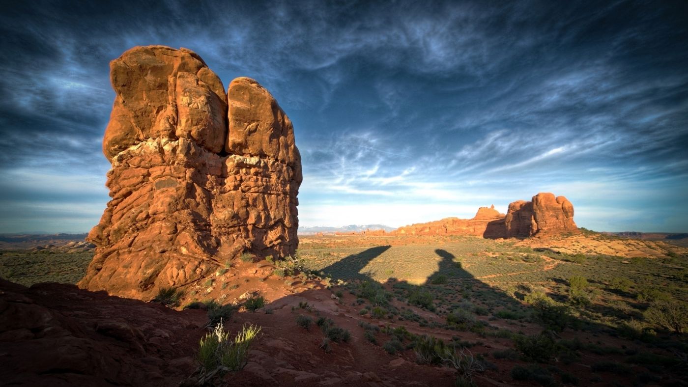深空影的峡谷植物图片