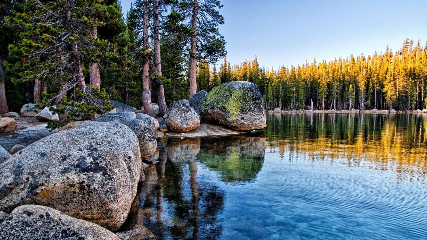 优胜美地的尼斯湖岩树图片