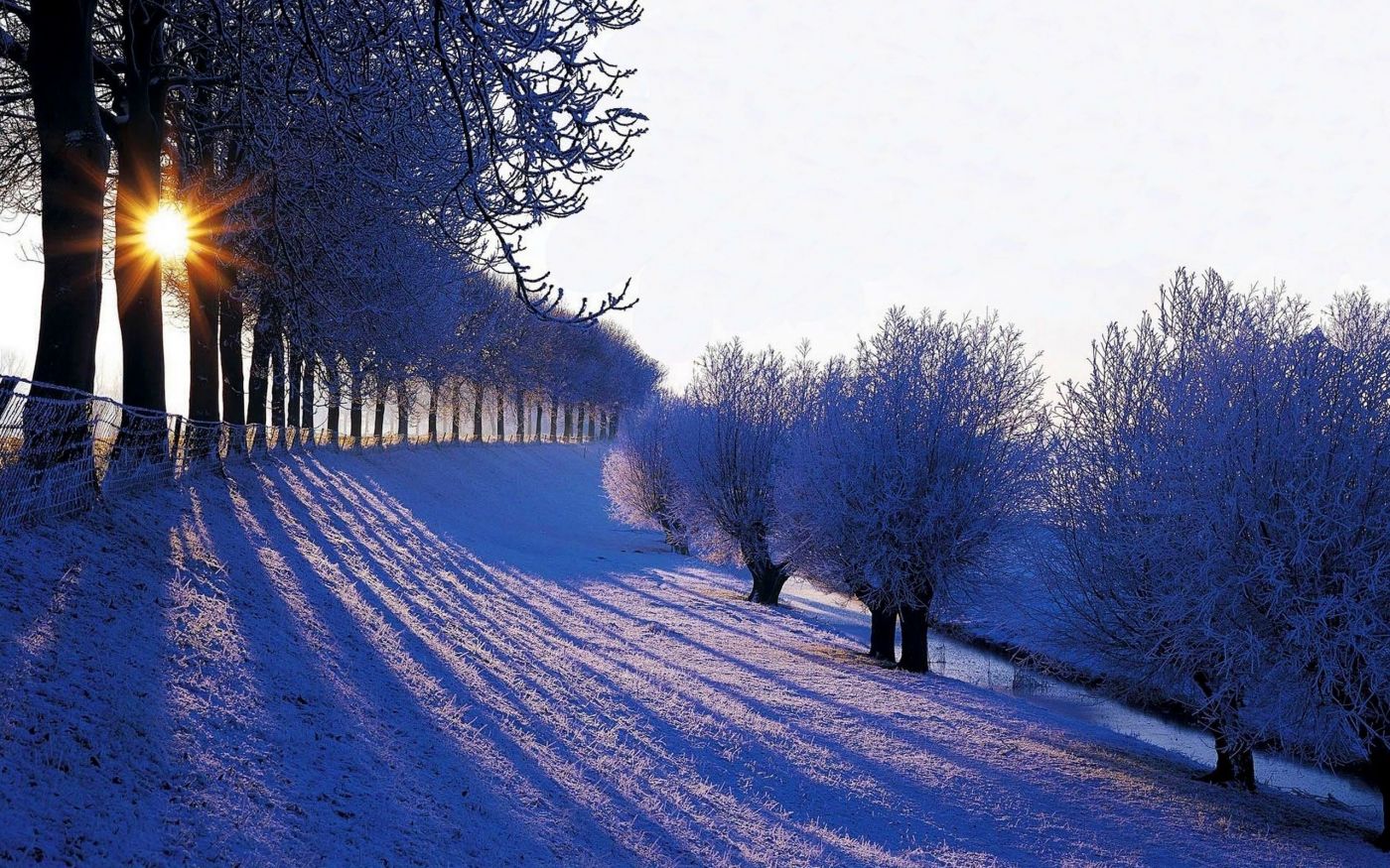 高清晰冬季唯美的雪壁纸下载下载 手机移动版
