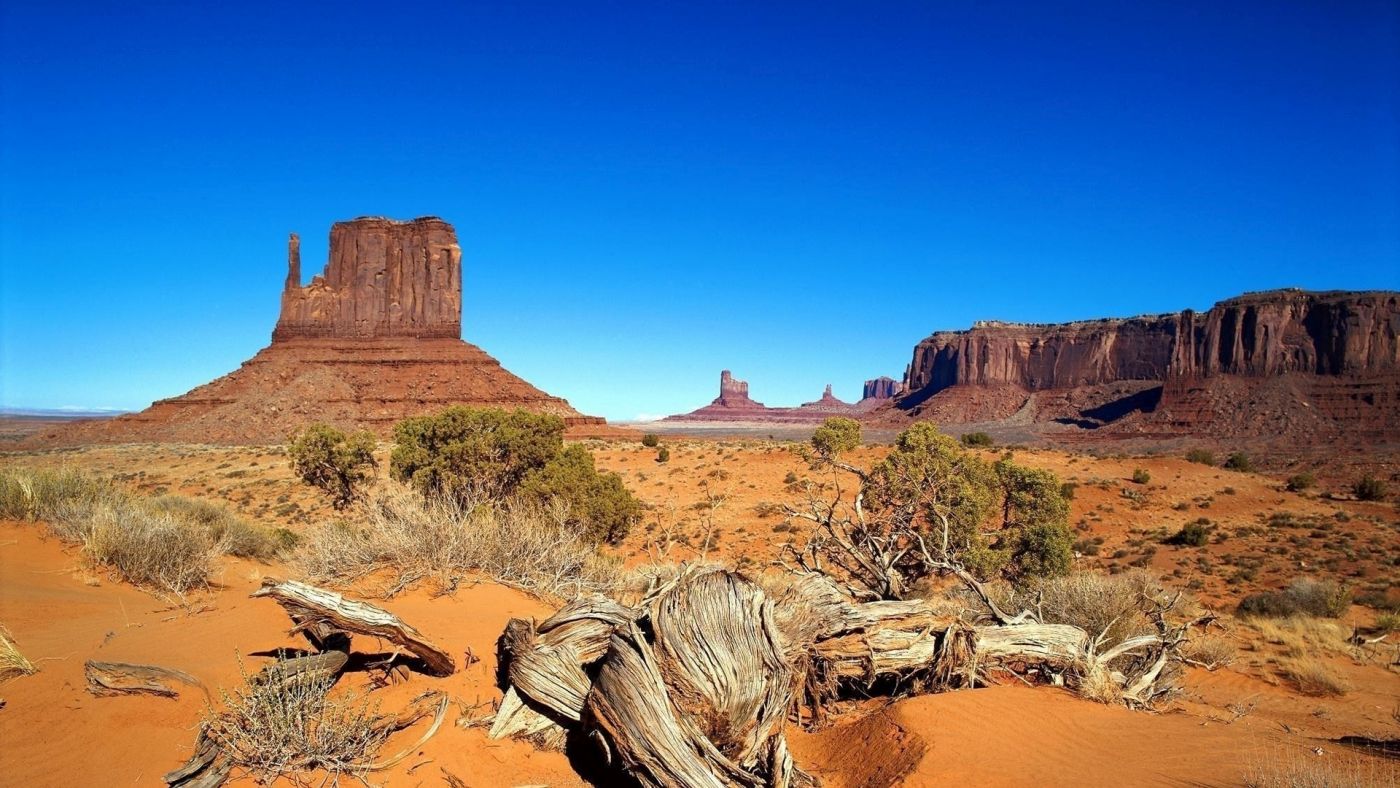 高清晰岩石植物沙漠戈壁壁纸图片