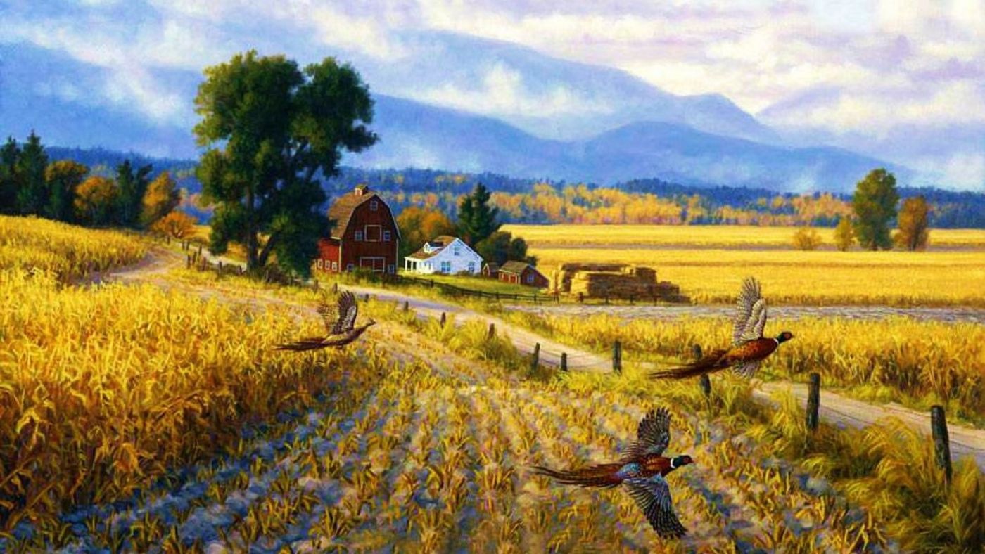 金色庄稼雉农场图片