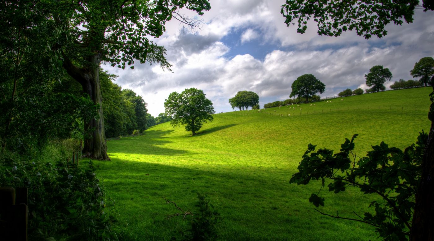 高清晰绿色小山丘壁纸封面大图