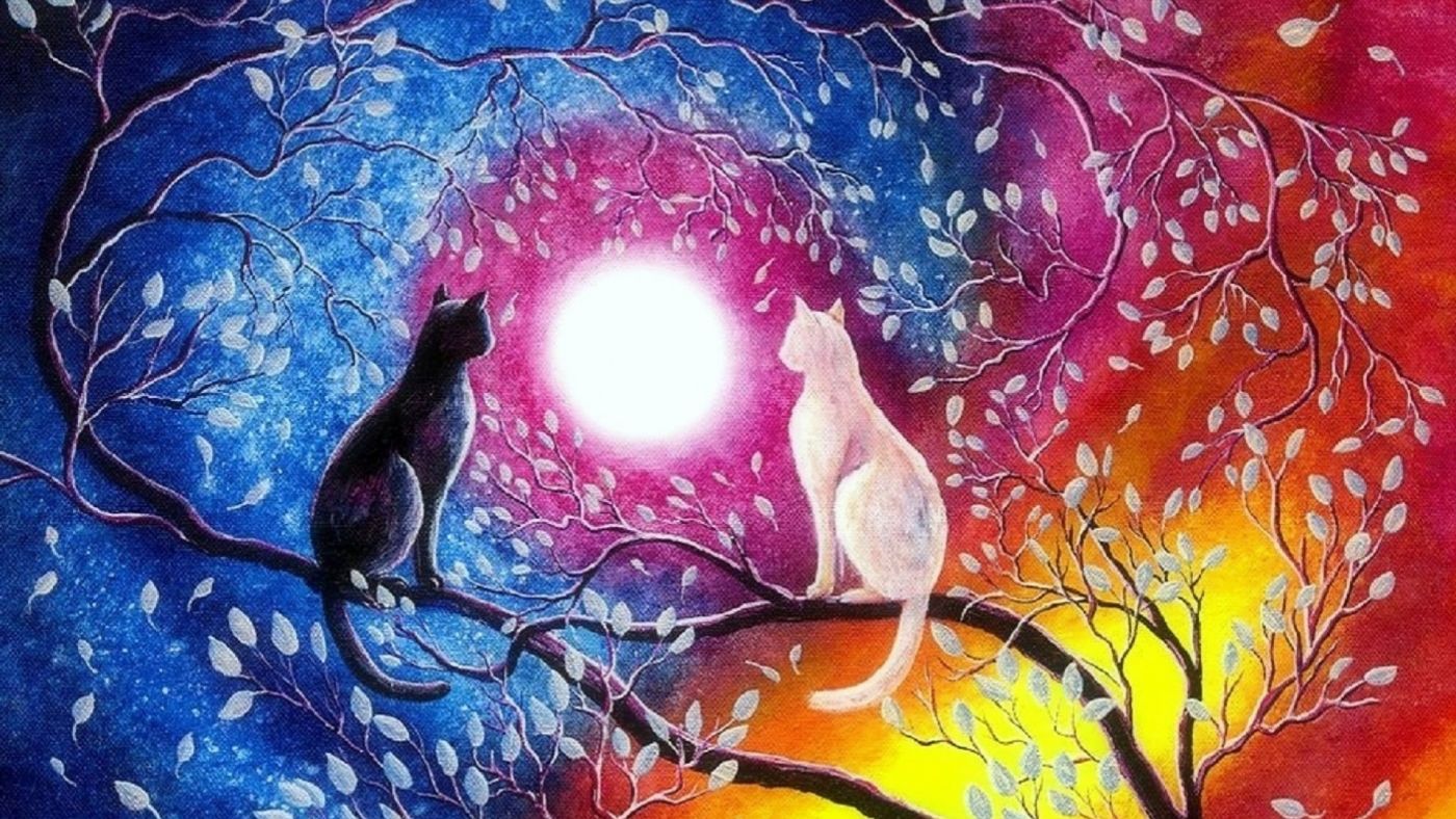 高清晰月光下的水墨黑白猫壁纸图片