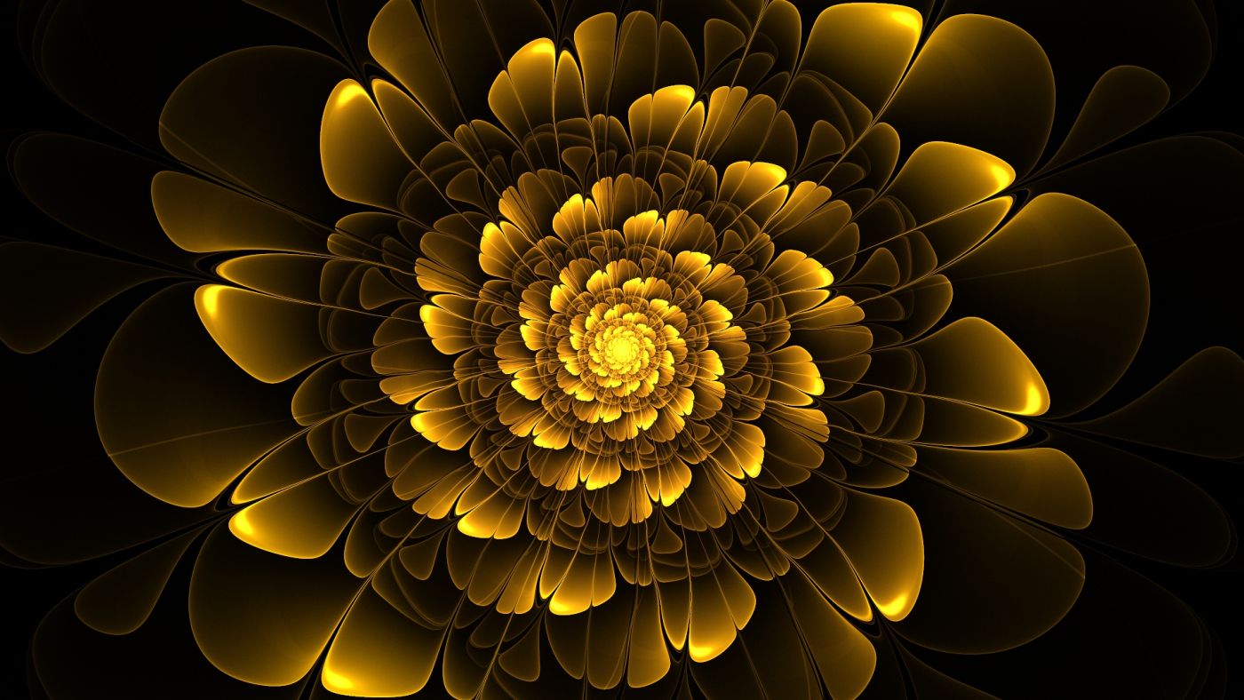 金黄色的花图片