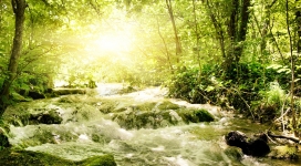 绿色小溪壁纸