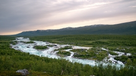 高清晰绿色国家公园河流壁纸