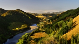 新西兰旺格努伊河山丘美景