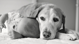 跟狗在一起的宝宝儿童