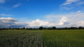 漂亮的绿色农庄