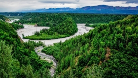 美国阿拉斯加迪纳利弯曲绿河美景