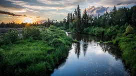 日落下尼斯河树木草