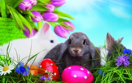 复活节彩蛋旁的灰色兔子与白色兔子