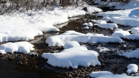 高清晰白色雪壁纸