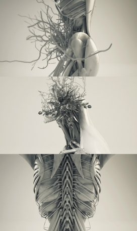 人类的梦想-人体树枝器官