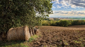 农田旁的干草包壁纸