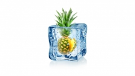 冰封冷冻的菠萝水果
