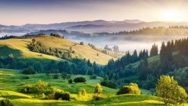 漂亮的日出雾山树木