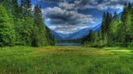 草绿色的草地湖