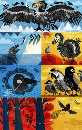 Birds鸟插画设计