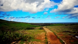 高清晰草地黄泥路壁纸