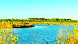 法国阿卡雄海湾美景