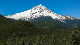 漂亮的绿森雪山