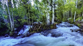 湍急的蓝色森林河流