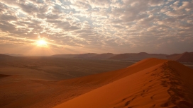 美丽的沙漠小道日出