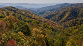 美国大烟山的秋季美景