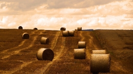 收获现场的干草包