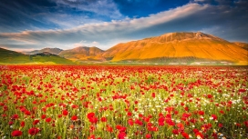 高清晰春季红花季美景