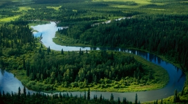 土耳其黑海绿林河