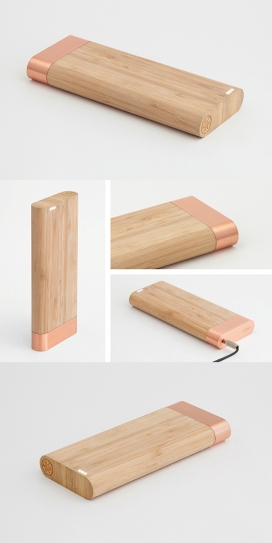 Bamboo Battery-像枕头一样的竹电池