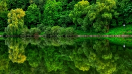 莱茵绿树湖倒影