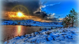 灿烂的阳光树木雪河