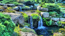 灌木岩石的小瀑布