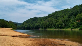 可爱的河沙质海岸树木