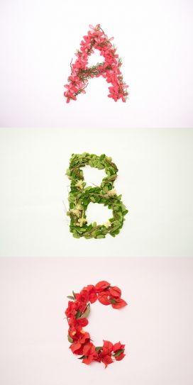 inicio-鲜花数字组成的字母设计