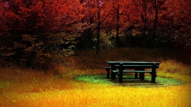 红黄林草的桌子