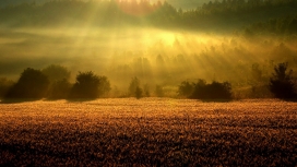 高清晰阳光下的美景