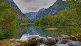 奥地利山溪林场