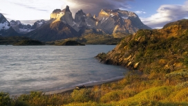 智利海洋植物山壁纸