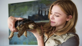 手抓乌龟的美国女演员科洛・格蕾斯・莫瑞兹