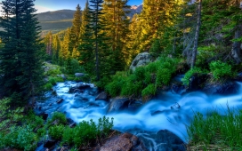 森林蓝溪瀑布美景