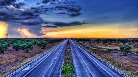 日落下的天空植物花路