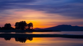 温哥华的日落湖树