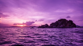 漂亮的紫色鹈鹕岛