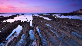加州半月湾沼泽地美景